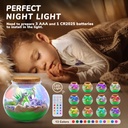 Terrarium Kit-Joycat ZJG002