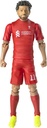 SALAH FIG-83545