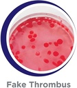  EXPLORE DISGUSTING & GROSS SCIENCE-684585