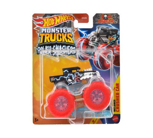 Hot Wheels Monster Trucks 1:64  Asst-HYJ19