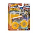 Hot Wheels Monster Trucks 1:64  Asst-HYJ19