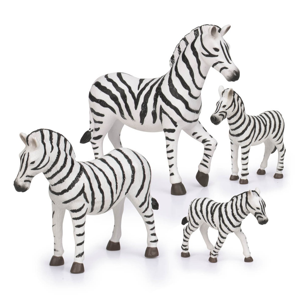 Zebra Family - Terra 2728Z