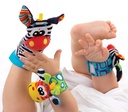 Jungle Friends Gift Pack - PG0182436