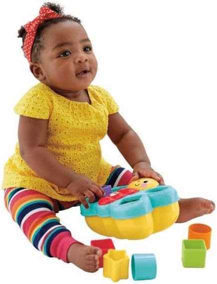 Fisher Price Butterfly Shape Sorter-CDC22