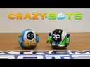 XTREM BOTS CRAZY BOTS ROLL-XT3803236