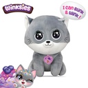 Winksies Blueberry kitten-89026