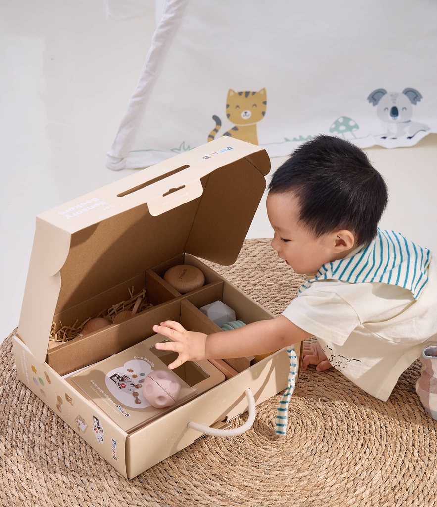 Grow With Me Box: Sensory Seekers (0-6M) - PolarB 44261