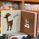 ABC ANIMALS - 036104