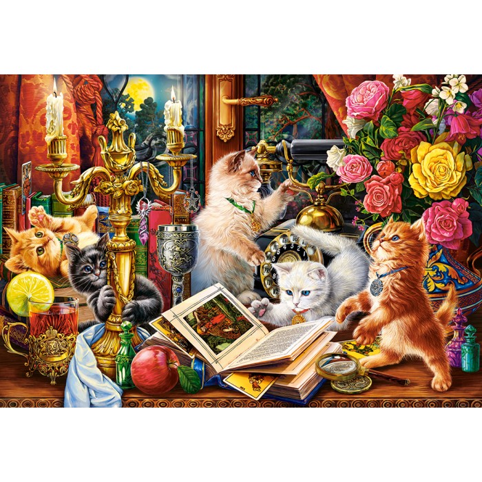 Wizard Kittens Puzzle 1000Pcs-Castor 104857-9