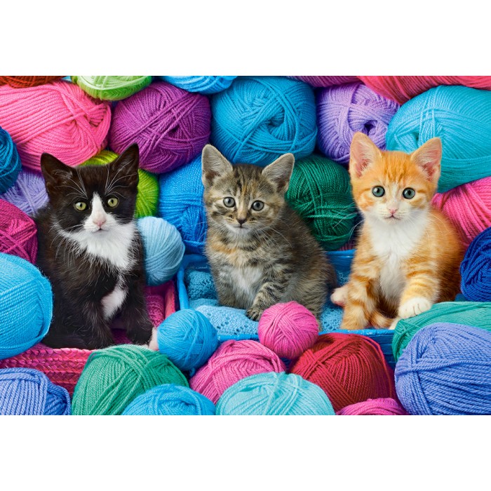 Kittens in Yarn Store Puzzle 1000Pcs-Castor 104796-9