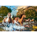 Horse Wonderland Puzzle 1000Pcs-Castor 104789-9