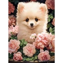 Puppy in Roses Puzzle  300Pcs-Castor B030552-6