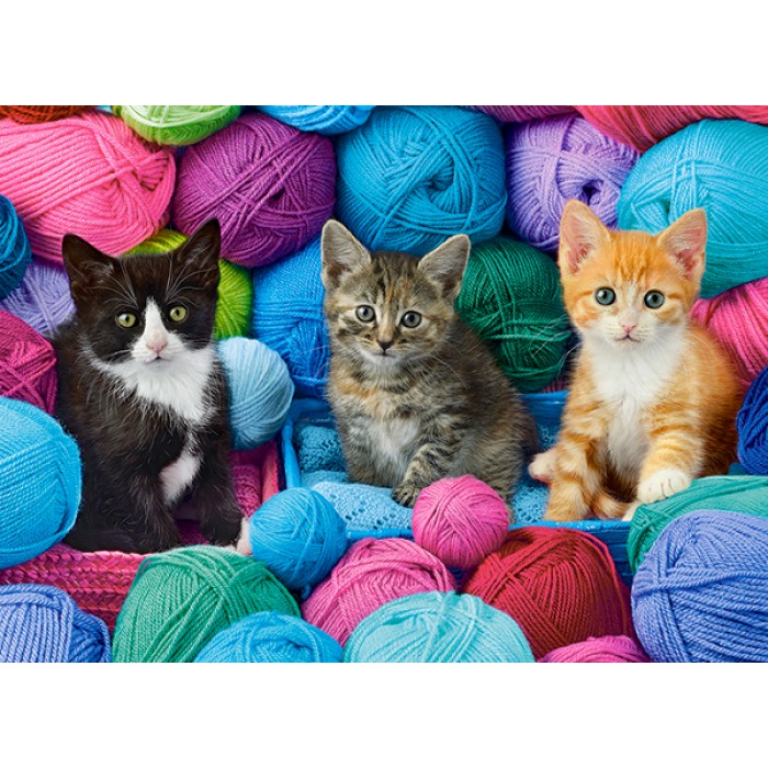 Kittens in Yarn Store Puzzle  300Pcs-Castor B030477-6