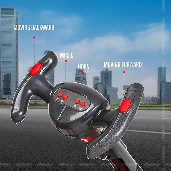 Ziggy Mini E Kart-ZGKT001