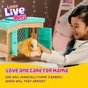 LLP MAMA SURPRISE  PLAYSETSURPRISE  PLAYSET-26410