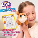 LLP MY PETS HOME S3 MINI P/SETKITTY-26678