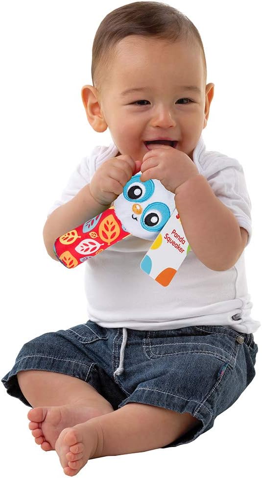 Playgro Panda Squeaker Toy – PG0187233