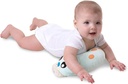 Playgro Snuggle Me Penguin Gym -PG0187681