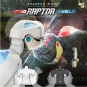 Toy RC Robo Raptor Rivals-1212023480