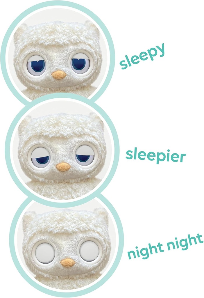 GUND Sleepy Eyes Owl Soother-6061071