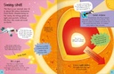 Encyclopedia of incredible things-10425