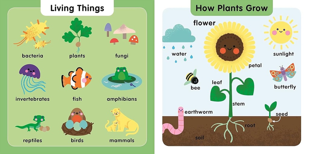 100 First Science Words: STEM Picture Dictionary (First Stem Learning)