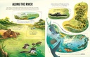USBORNE - Journey Through The Amazon - 967921