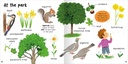 Miles Kelly - 100+ FIRST WORDS NATURE - 95063