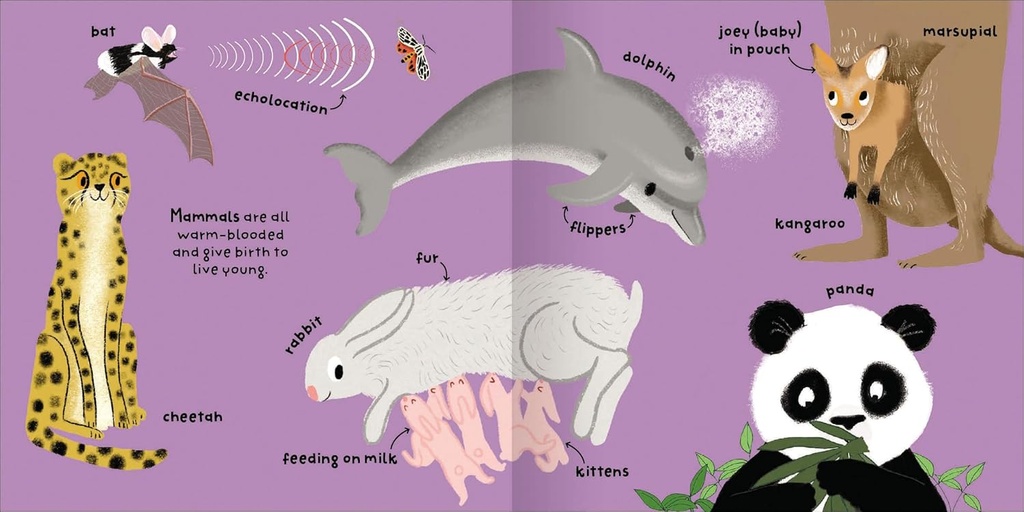 Miles Kelly - Big words for little experts - Animals - 94912