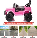 Toyota Pink 2.4G -S316
