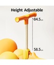 B.DUCK Scooter 2301-LD-2301-Y-01