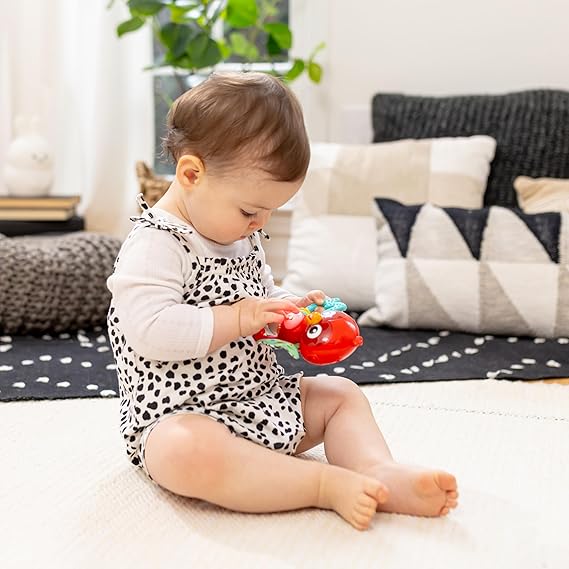 Baby Einstein Roxy's Bright Flight-16888