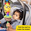 Baby Einstein Cal-a-Puller -16887