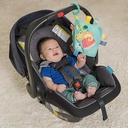 Bright Starts Fuzzy Feelies Soothing Blankie-12619
