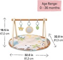 Ingenuity Wonder & Wood Wooden Toy Arch -17448
