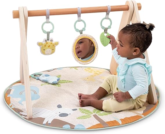Ingenuity Wonder & Wood Wooden Toy Arch -17448