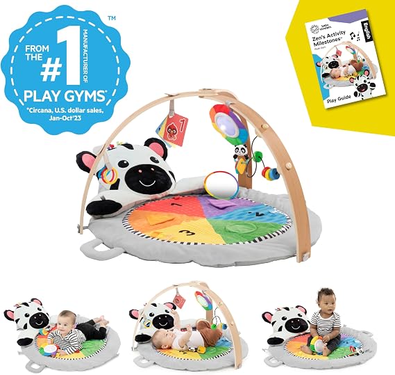 Baby Einstein Zen's Activity Milestones Plush Gym-16636