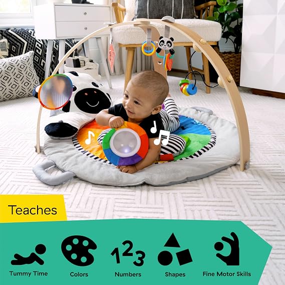 Baby Einstein Zen's Activity Milestones Plush Gym-16636