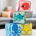Baby Einstein Explore & Discover Soft Blocks-90629