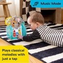 Baby Einstein Chase & Tap Earl Interactive -16923