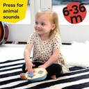 Baby Einstein Discovery Radio Toy Radio -17011