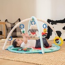 Baby Einstein Happy Harvest Touch & Feel -17326