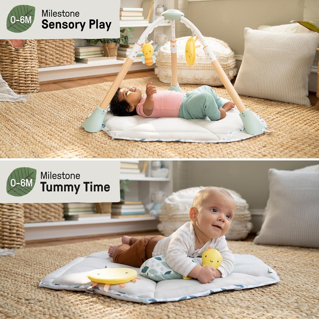 Ingenuity Tummy to Toes 6-in-1 -16904
