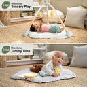 Ingenuity Tummy to Toes 6-in-1 -16904