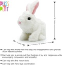 Hopper Jumping rabbit-ST-PAP10