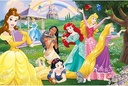 24 SUPER MAXI Happy Princesses Disney -41008