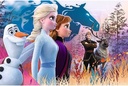 24 Maxi Magical journey Disney Frozen 2 -14298