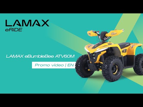 XL Electric ATV Bike 48V & 750W-750D