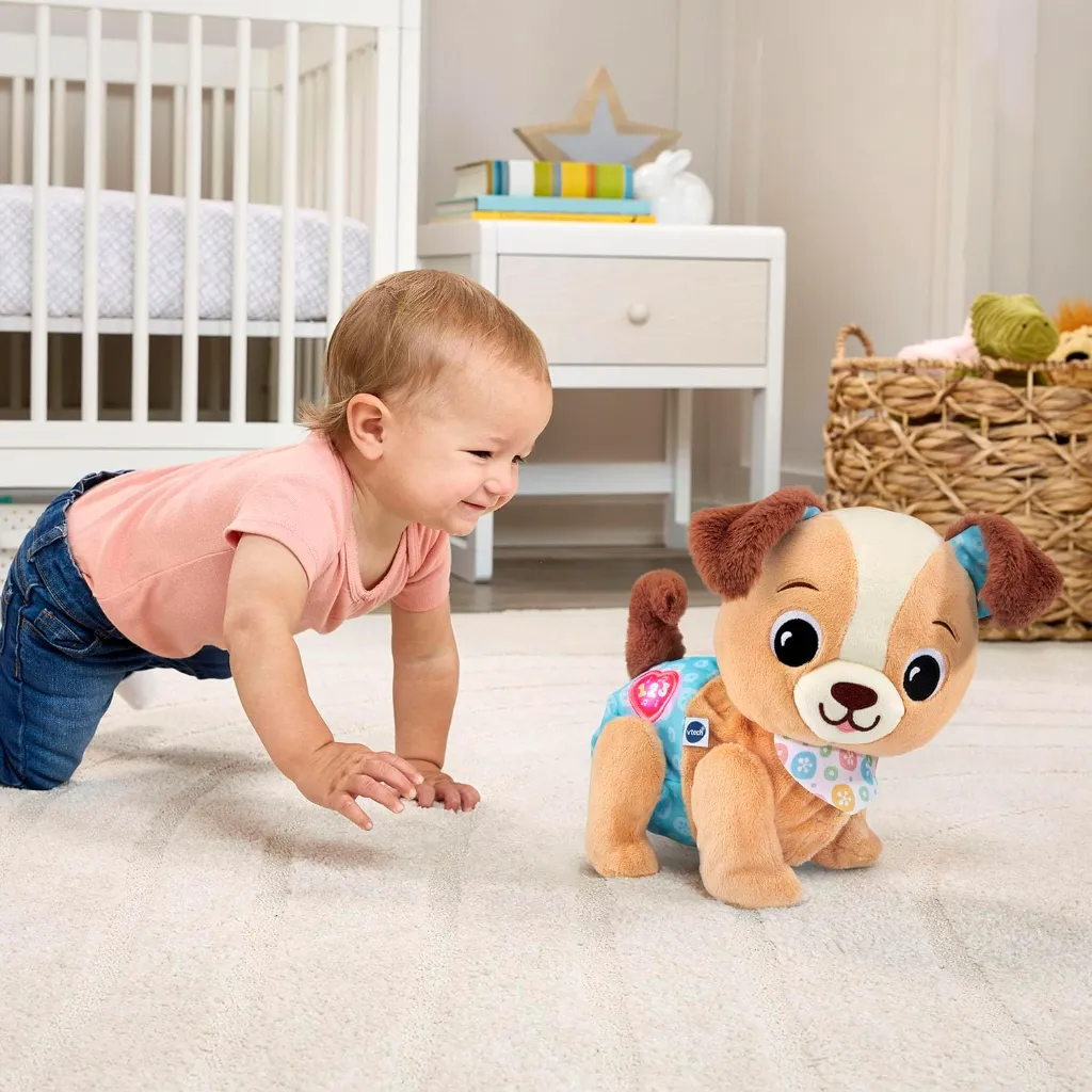5793004.webp