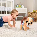 5793004.webp